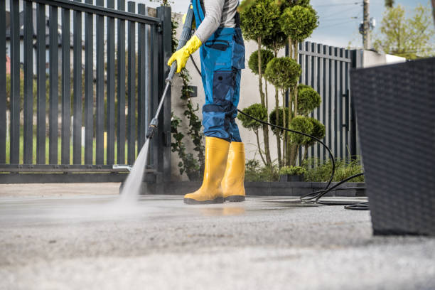 Best Sidewalk and Walkway Cleaning  in Pardeeville, WI